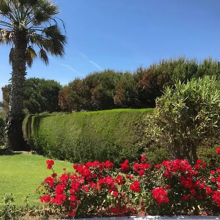 Apartamento With Pool And Ocean Views *